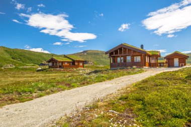 the Ecological houses