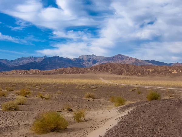 Vale da morte nevada — Fotografia de Stock