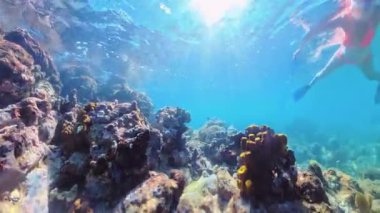 Anse Figuier plajında şnorkelle yüzen kadın, Riviere-Pilote, Martinique, Fransa Karayipleri