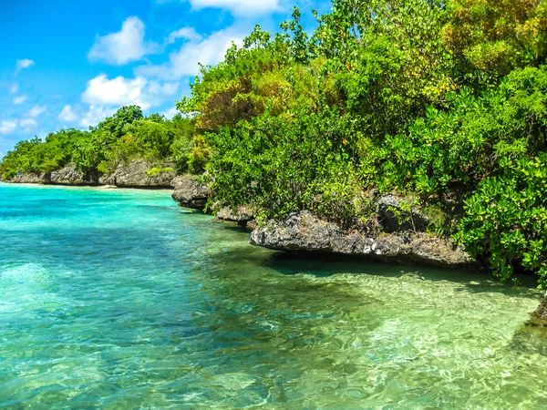 Isla de las Aigretas Mauricio — Foto de Stock