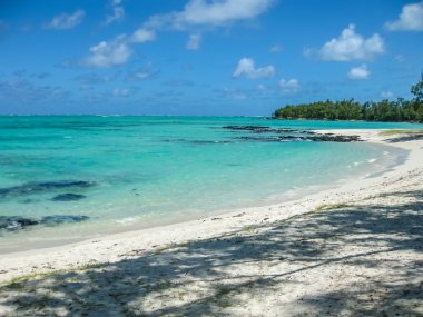 Mauritius Deer Adası