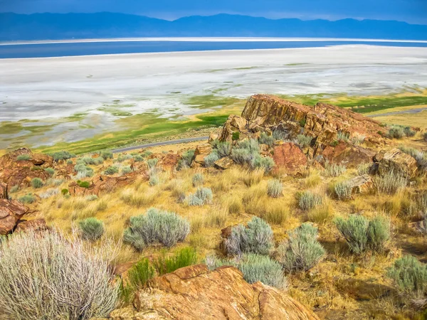 Grande Salt Lake Antelope Island — Fotografia de Stock