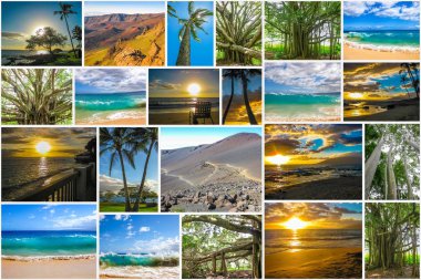 Maui kolaj resimleri