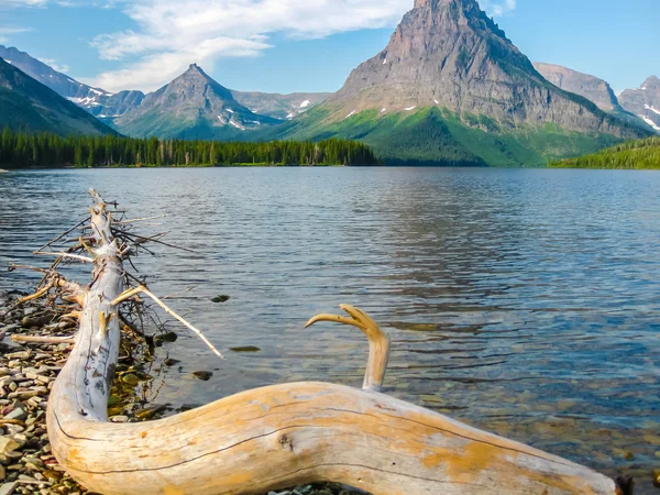 Mount Sinopah v Glacier National Park — Stock fotografie