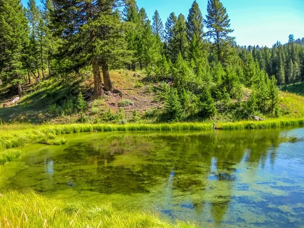 Park Narodowy Yellowstone — Zdjęcie stockowe