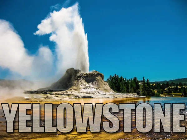 Castelo geyser em Yellowstone — Fotografia de Stock