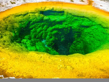 Yellowstone Morning Glory Havuzu