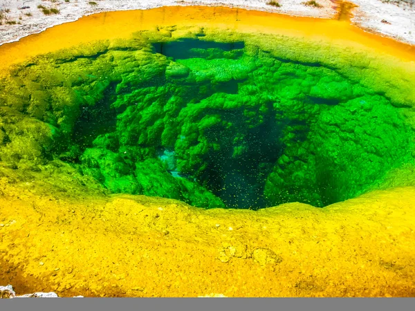 Yellowstone Morning Glory Pool — Fotografie, imagine de stoc