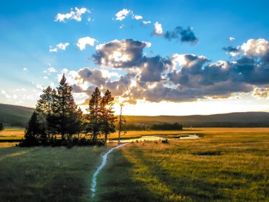 Yellowstone green plain