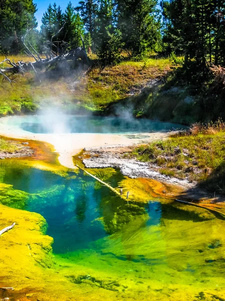 Seismograph Pool in Yellowstone — Stok fotoğraf