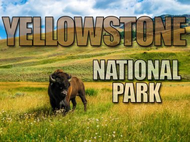 Yellowstone Milli Parkı