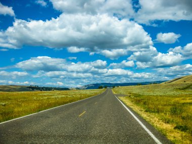 yol Yellowstone Milli Parkı'nda