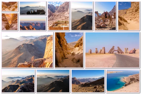 Sinai Peninsula landmark collage — Stockfoto