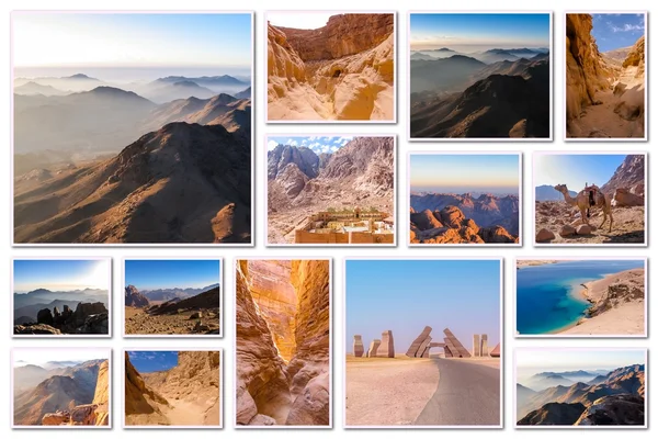 Egypt Sinai Peninsula collage — 스톡 사진