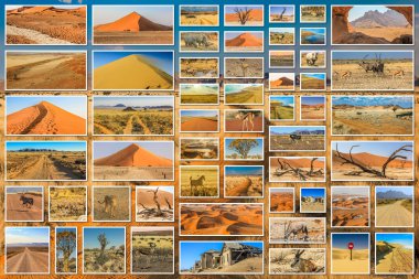 African desert collage