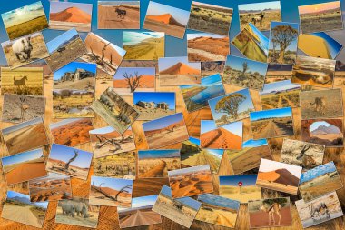 Namibia pictures collage