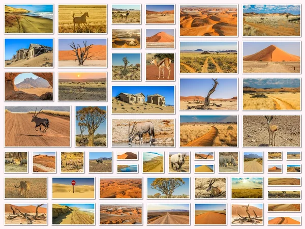 Namibia pictures collage — 스톡 사진