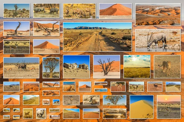 Colagem de imagens do deserto — Fotografia de Stock