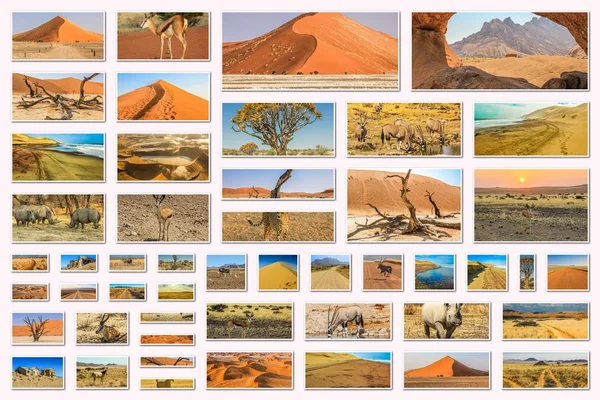 Namibia bilder collage — Stockfoto