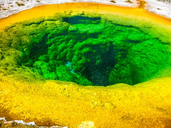 Yellowstone Morning Glory Pool — Zdjęcie stockowe