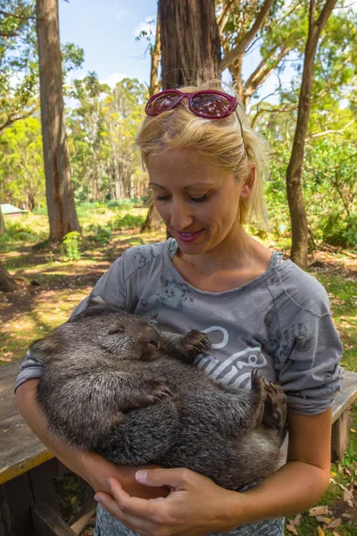 Pequeño Wombat durmiendo —  Fotos de Stock