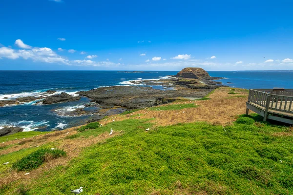 Phillip Island South Coast — Stock Photo, Image