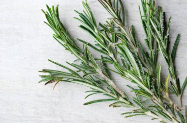 Açık gri arkaplanda buz küpleri içinde donmuş biberiye. Yakın çekim