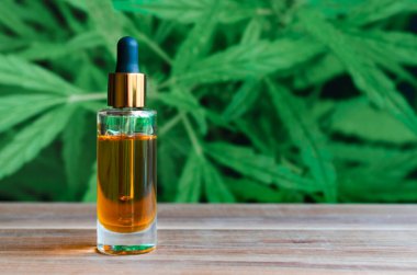 CBD kenevir yağı, cbd yiyeceği. Marihuana bitkisine karşı bir şişe kenevir yağı. Bitkisel tedavi, Alternatif tıp. Damlacık biyolojik ve ekolojik kenevir bitkisine ilaç veriyor.