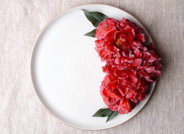 Seramik tabakta şakayık çiçekleri ve tomurcuklarla açan dallar. Kadınsı düğün ve kırmızı şakayık çiçekleri. Gri keten masa örtüsü kumaş arka plan. Botanik ve lüks marka tasarımı. Kopyalama alanı ile