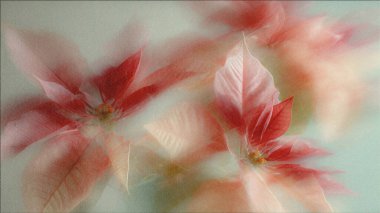 Dreamy abstract photograph of delicate coral pink leaves in soft focus and motion blur. Gentle pastel tones and ethereal movement create a calm, artistic, and minimalist background perfect for modern design, nature-inspired prints, and wellness