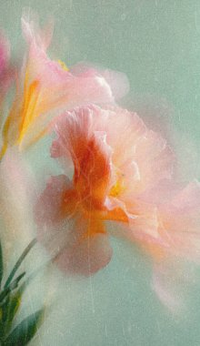 Dreamy abstract photograph of delicate coral pink leaves in soft focus and motion blur. Gentle pastel tones and ethereal movement create a calm, artistic, and minimalist background perfect for modern design, nature-inspired prints, and wellness