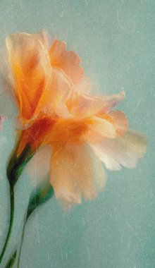 Dreamy abstract photograph of delicate coral pink leaves in soft focus and motion blur. Gentle pastel tones and ethereal movement create a calm, artistic, and minimalist background perfect for modern design, nature-inspired prints, and wellness