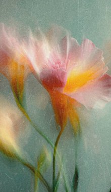 Dreamy abstract photograph of delicate coral pink leaves in soft focus and motion blur. Gentle pastel tones and ethereal movement create a calm, artistic, and minimalist background perfect for modern design, nature-inspired prints, and wellness