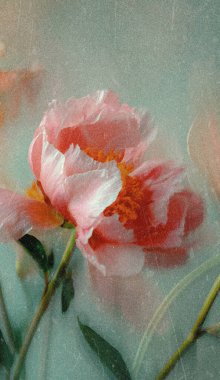 Dreamy abstract photograph of delicate coral pink leaves in soft focus and motion blur. Gentle pastel tones and ethereal movement create a calm, artistic, and minimalist background perfect for modern design, nature-inspired prints, and wellness