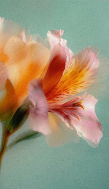 Dreamy abstract photograph of delicate coral pink leaves in soft focus and motion blur. Gentle pastel tones and ethereal movement create a calm, artistic, and minimalist background perfect for modern design, nature-inspired prints, and wellness conce