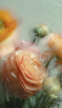 Dreamy abstract photograph of delicate coral pink leaves in soft focus and motion blur. Gentle pastel tones and ethereal movement create a calm, artistic, and minimalist background perfect for modern design, nature-inspired prints, and wellness conce