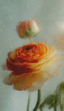 Dreamy abstract photograph of delicate coral pink leaves in soft focus and motion blur. Gentle pastel tones and ethereal movement create a calm, artistic, and minimalist background perfect for modern design, nature-inspired prints, and wellness conce