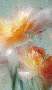 Dreamy abstract photograph of delicate coral pink leaves in soft focus and motion blur. Gentle pastel tones and ethereal movement create a calm, artistic, and minimalist background perfect for modern design, nature-inspired prints, and wellness conce