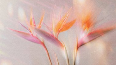 Dreamy abstract photograph of delicate coral pink leaves in soft focus and motion blur. Gentle pastel tones and ethereal movement create a calm, artistic, and minimalist background perfect for modern design, nature-inspired prints, and wellness conce