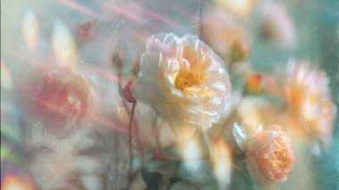 Dreamy abstract photograph of delicate coral pink leaves in soft focus and motion blur. Gentle pastel tones and ethereal movement create a calm, artistic, and minimalist background perfect for modern design, nature-inspired prints, and wellness conce