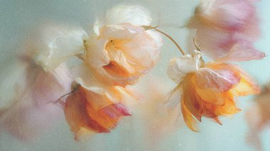 Dreamy abstract photograph of delicate coral pink leaves in soft focus and motion blur. Gentle pastel tones and ethereal movement create a calm, artistic, and minimalist background perfect for modern design, nature-inspired prints, and wellness conce