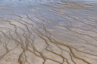 Yellowstone Ulusal Parkı, Wyoming 'de Büyük Prismatik Bahar