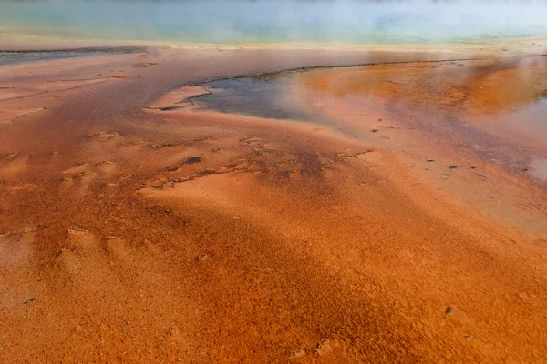 Yellowstone Ulusal Parkı, Wyoming 'de Büyük Prismatik Bahar