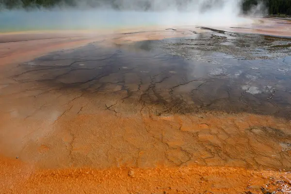 Yellowstone Ulusal Parkı, Wyoming 'de Büyük Prismatik Bahar