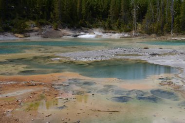 Norris Geyser Havzası Yellowstone Ulusal Parkı, Wyoming, ABD