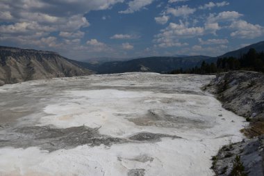 Yellowstone Ulusal Parkı 'ndaki Mamut Kaplıcaları, Wyoming, ABD