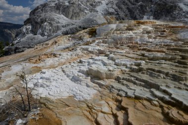 Yellowstone Ulusal Parkı 'ndaki Mamut Kaplıcaları, Wyoming, ABD