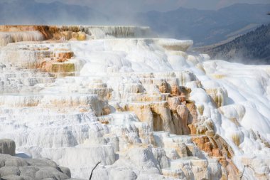 Yellowstone Ulusal Parkı 'ndaki Mamut Kaplıcaları, Wyoming, ABD