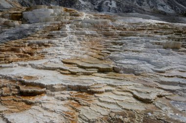 Yellowstone Ulusal Parkı 'ndaki Mamut Kaplıcaları, Wyoming, ABD