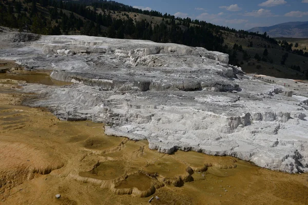 Yellowstone Ulusal Parkı 'ndaki Mamut Kaplıcaları, Wyoming, ABD